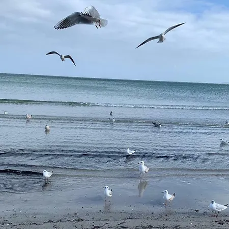 Ferienidyll Nordwind * Dranske