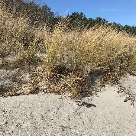 Ferienidyll Nordwind Lejlighed *