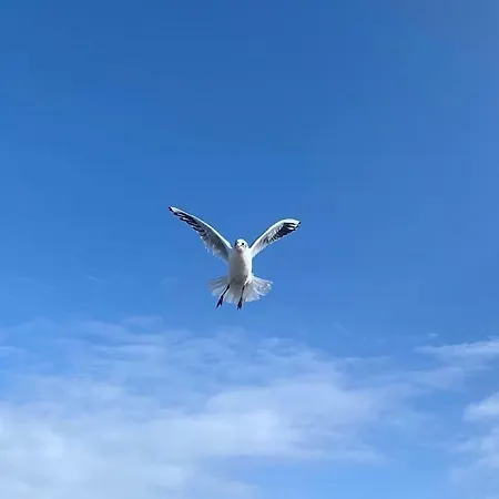 Ferienidyll Nordwind Appartement *