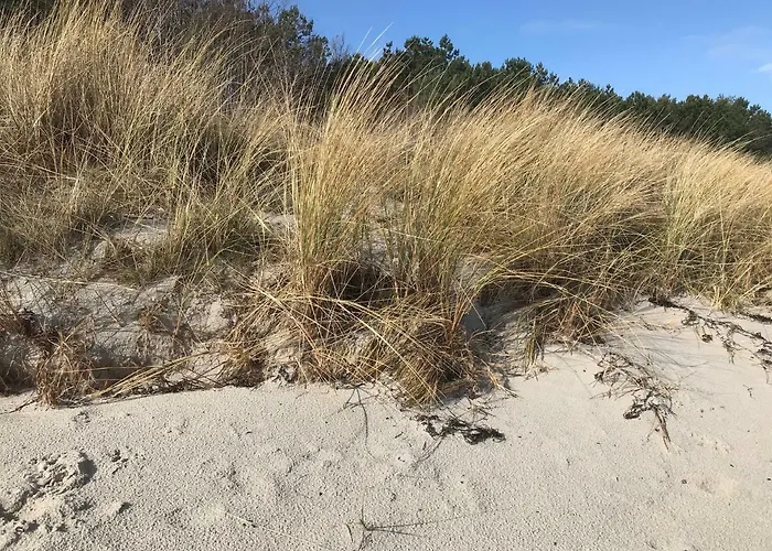 Ferienidyll Nordwind Διαμέρισμα *